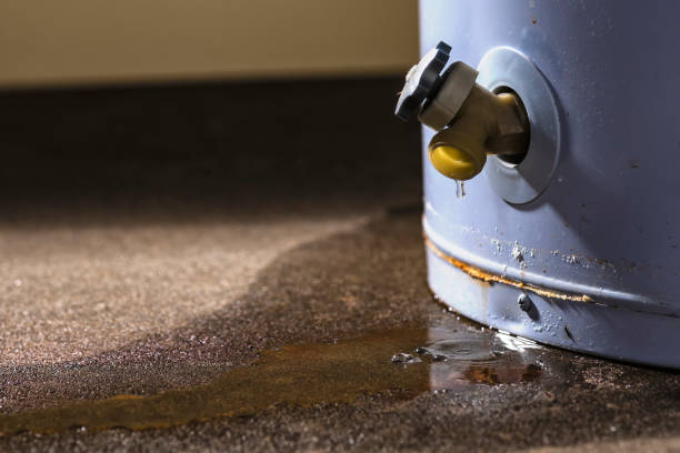 Trusted Water Damage Restoration in Severna Park, MD | Fast, Reliable, and Ready to Assist You